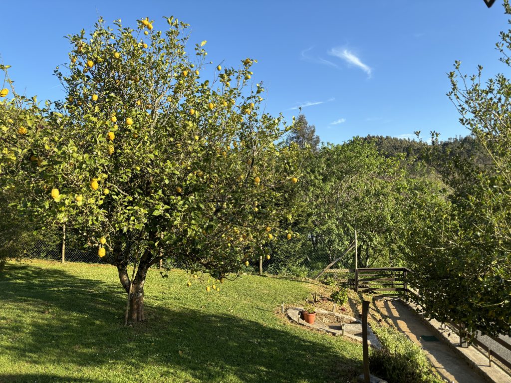 Casa Casal de Can en Carballo — foto 3