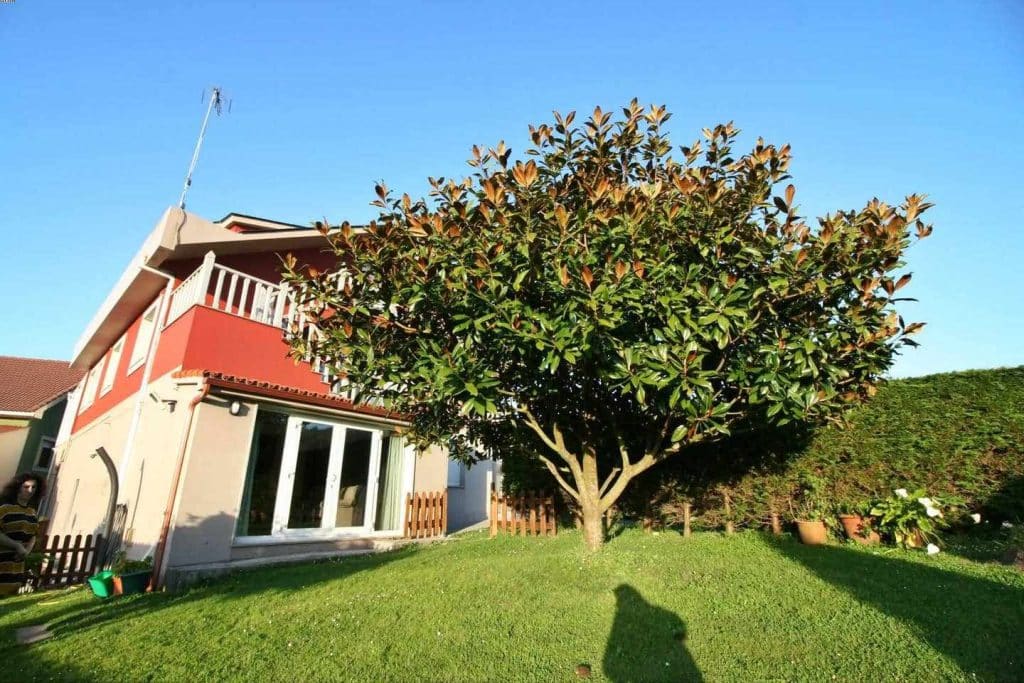 Apartamentos Don Ramón en Carballo — foto 36