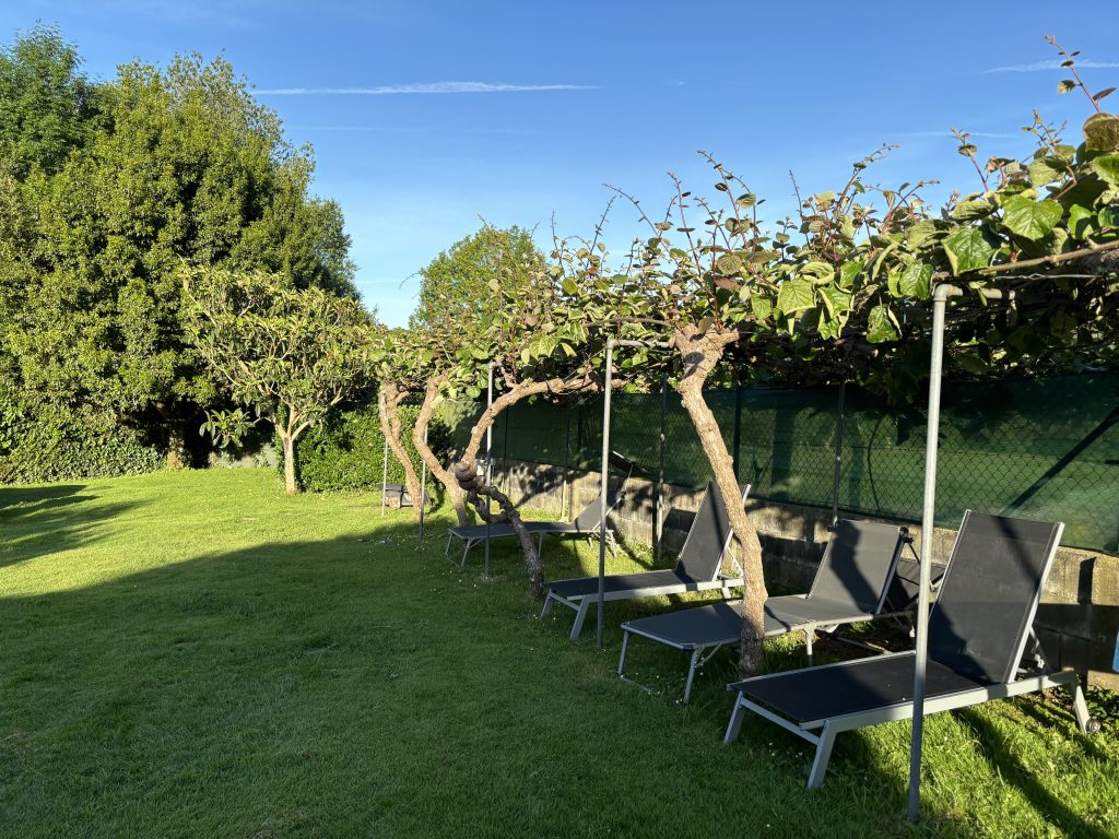 Casa Finca Patelo en Bergondo — foto 6