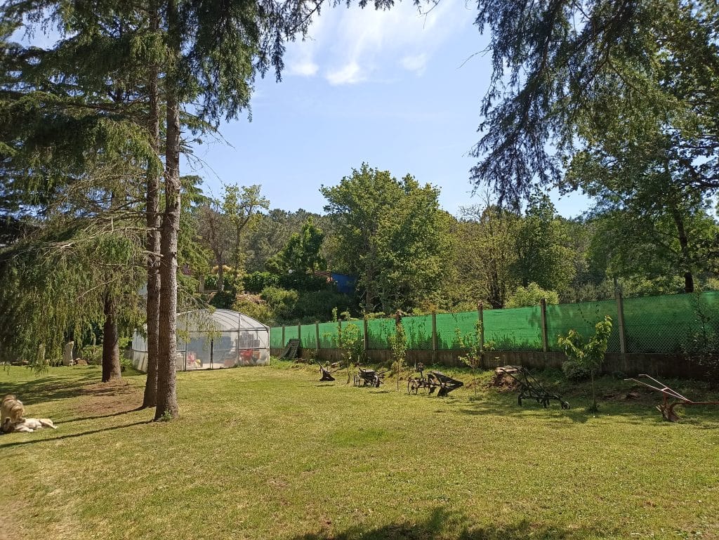 Cabana Monte do Castro en Porto do Son — foto 6