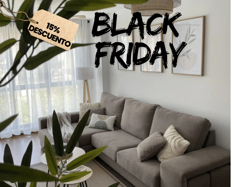 para black friday en WEB 1