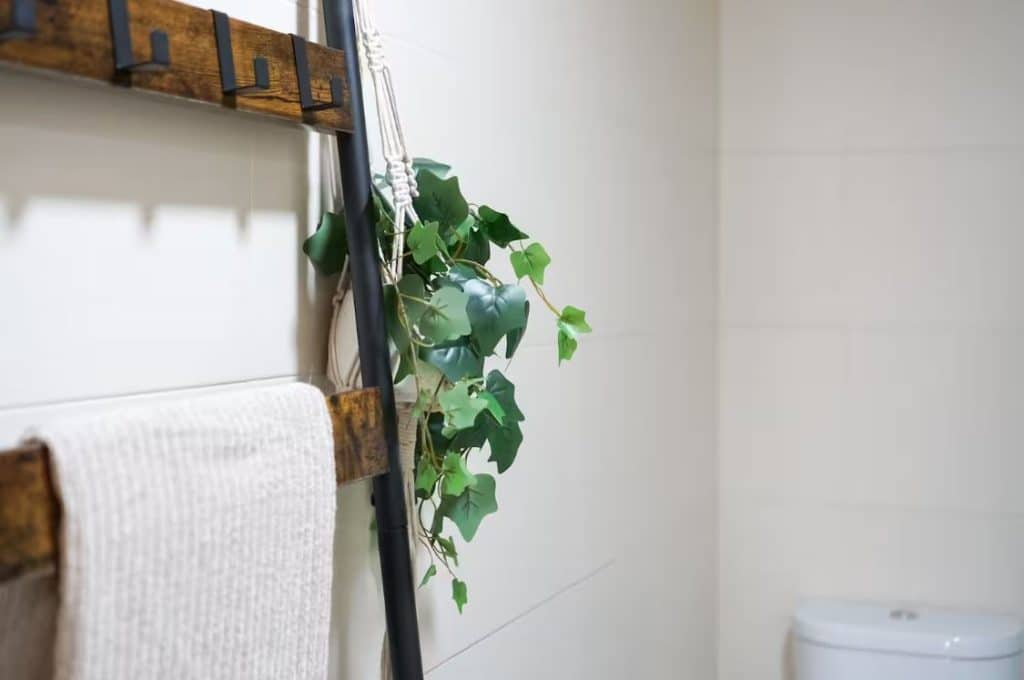 Apartamento ALMA en Malpica de Bergantiños — foto 26