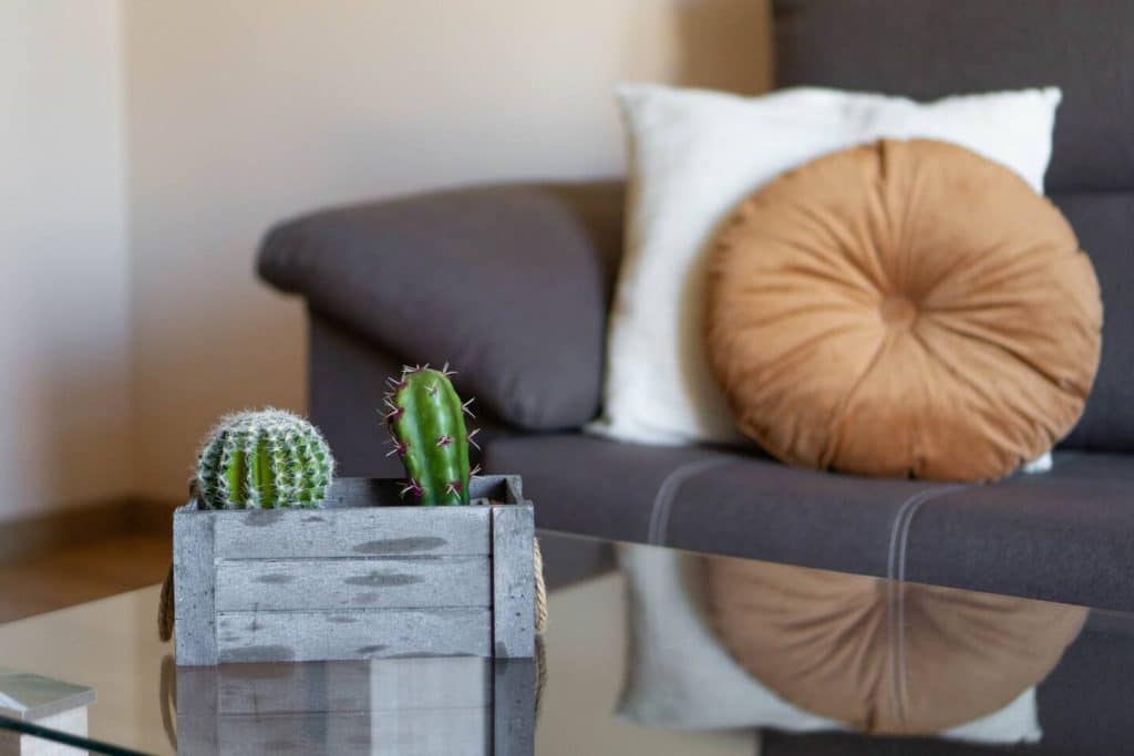 Apartamento TERRA DO MAR en Ponteceso — foto 4