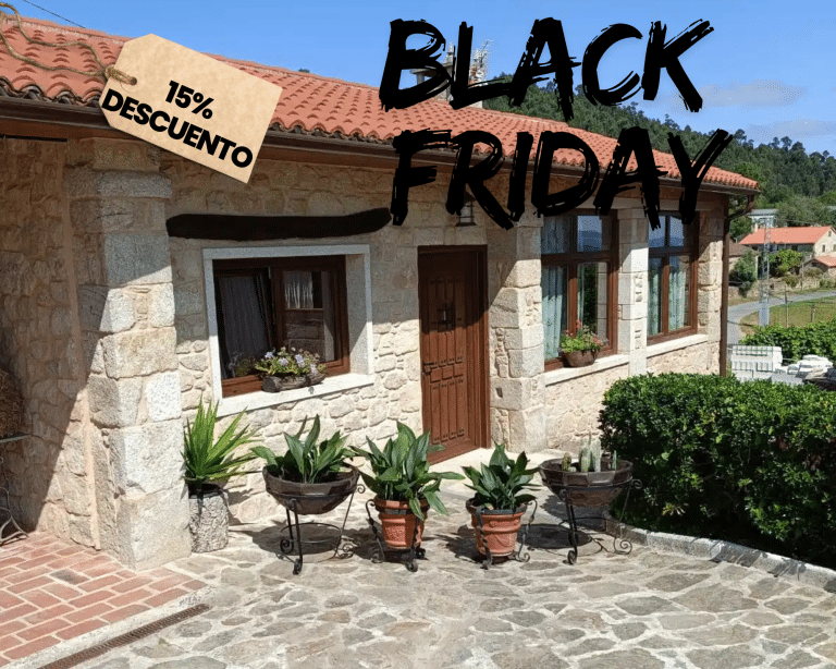 para black friday en WEB 10