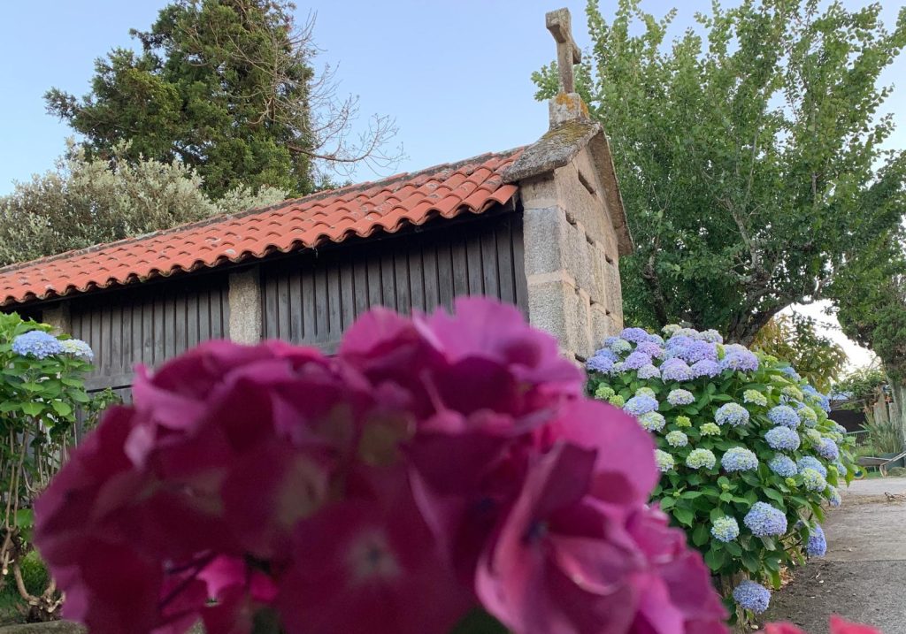 Casa O Vincular en Vilanova de Arousa — foto 30