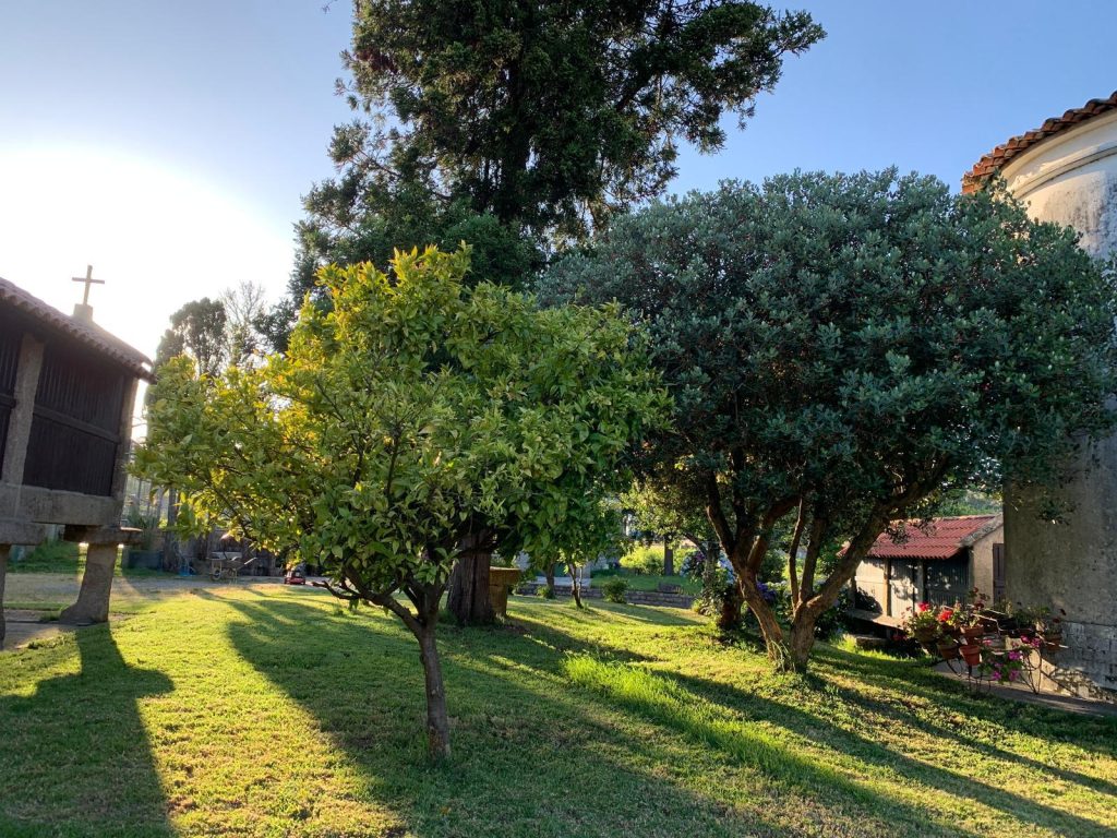 Casa O Vincular en Vilanova de Arousa — foto 28